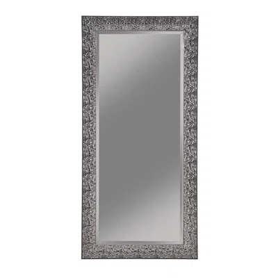 Coaster Co. Of America Rollins Rectangular Floor Mirror Black In Gray