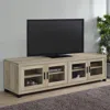 Coaster Co. Of America Sachin Rectangular Tv Console With Glass Doors