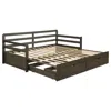 Coaster Co. Of America Sorrento 2-drawer Twin Xl Daybed With Extension Trundle Grey In Brown