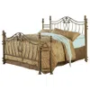 Coaster Co. Of America Sydney Metal Eastern King Open Frame Bed Brushed Gold In Brown
