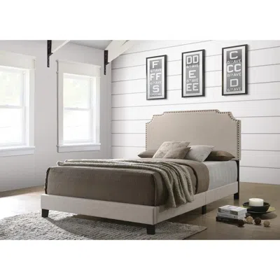 Coaster Co. Of America Tamarac Upholstered Nailhead Eastern King Bed Beige