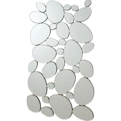 Coaster Co. Of America Topher Pebble-shaped Decorative Mirror Silver In Gray