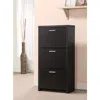 Coaster Co. Of America Vivian 3-drawer Shoe Cabinet Black
