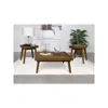 Coaster Co. Of America Westerly 3-piece Square Coffee And End Table Set Walnut