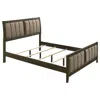 Coaster Co. Of America Wilkes 51-inch Upholstered Queen Bed Dark Cocoa In Brown