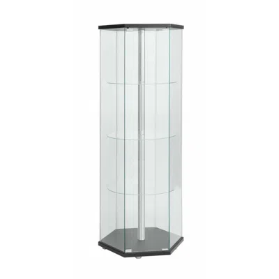 Coaster Co. Of America Zahavah 4-shelf Hexagon Shaped Curio Cabinet Black And Clear In Transparent