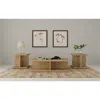 Coaster Cortona 3-piece Coffee And End Table Set Mango