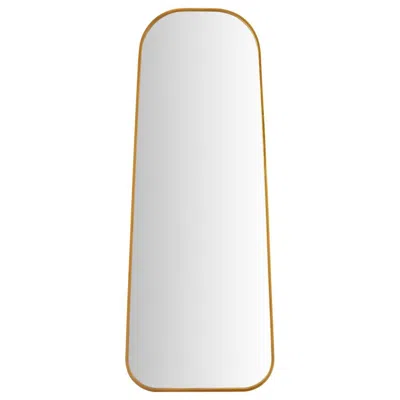 Coaster Simeon Metal Frame Full Length 51" Floor Mirror Antique Gold
