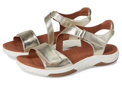 Cobb Hill Fiah In Brown