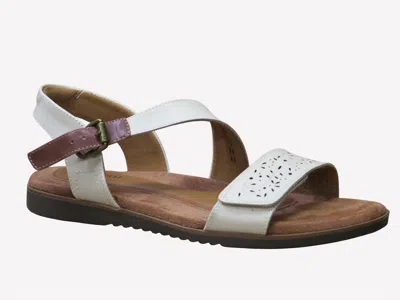 Cobb Hill Women's Zion 2 Piece Sandal In Cream In Animal Print