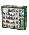 Cobble Hill - Railroads Of America Puzzle In Multi