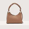 Coccinelle _