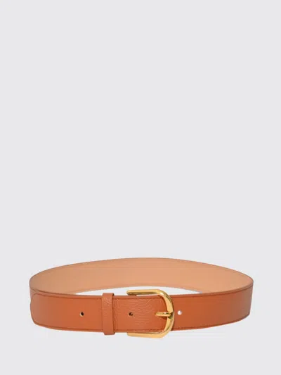 Coccinelle Belt Woman  In Brown