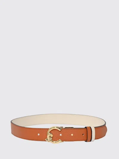 Coccinelle Belt Woman  In Brown