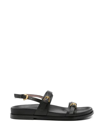 Coccinelle Buckle Leather Sandals In Black