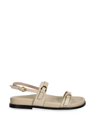Coccinelle Buckle-fastening Leather Sandals In Black