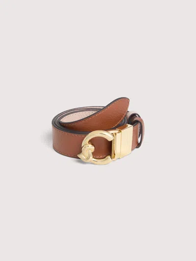 Coccinelle C-me Bicolor In Brown