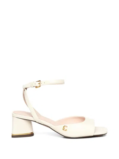 Coccinelle C-everyday Buckled Leather Sandals In Multi
