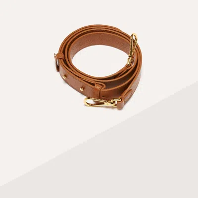 Coccinelle Embroidery Logo In Brown