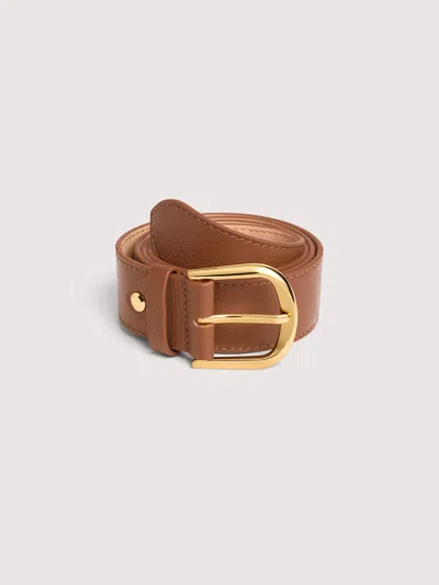 Coccinelle Erika In Brown