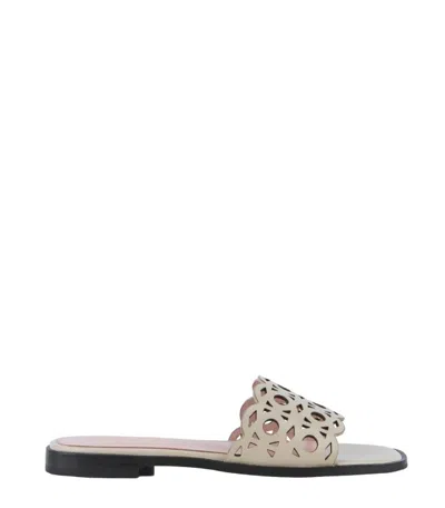 Coccinelle Essent In Neutral