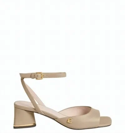 Coccinelle C-everyday Buckle-fastening Block-heel Sandals In Brown