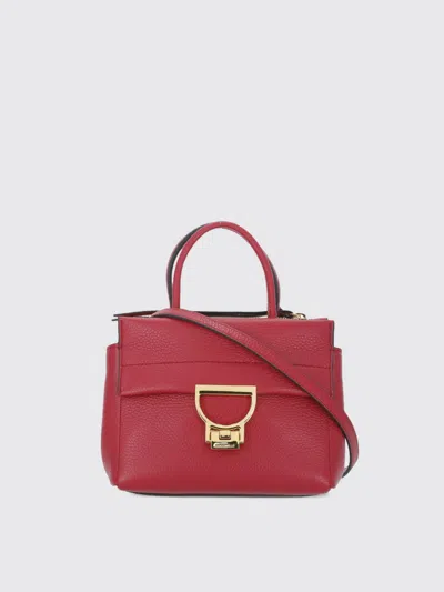 Coccinelle Handbag  Woman Color Burgundy