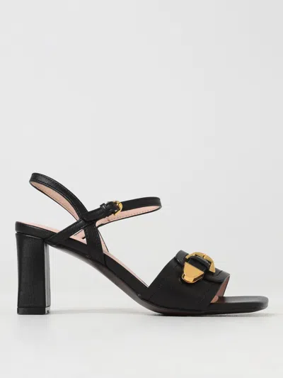 Coccinelle Heeled Sandals  Woman Color Black