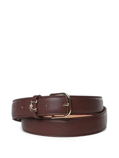 Coccinelle Metal Loop Logo-plaque Belt In Brown