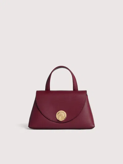 Coccinelle Nikla Small