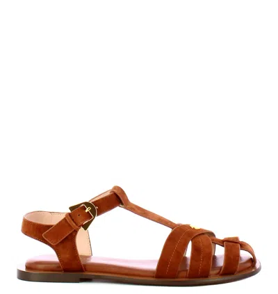 Coccinelle Sunup Suede In Brown