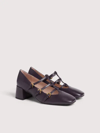 Coccinelle Sven Smooth In Purple