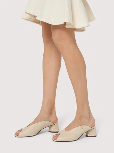 Coccinelle U1l 36 01 01 Ss26 In Neutral