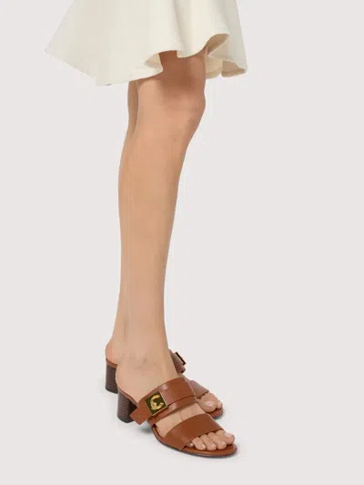Coccinelle U7q 17 02 01 Ss26 In Brown