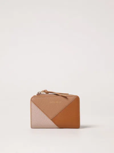 Coccinelle Wallet  Woman Color Multicolor