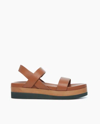Coclico Women's Dana Tan Sandal In Brown
