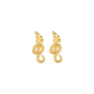 Coco & Kinney Women's Gold Ceri Snake Earrings