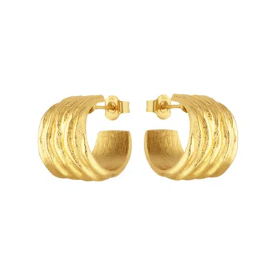 Coco & Kinney Women's Gold Ophelia