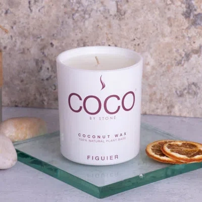 Coco By Stone Figuier Natural Coconut Apricot Wax Candle