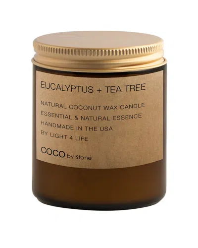 Coco By Stone Handmade 7.2oz Eucalyptus + Tea Tree Natural Coconut Apricot Wax Candle In Brown