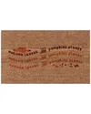 Coco Mats N More Autumn Leaves & Pumpkin Please Rug In Multicolor