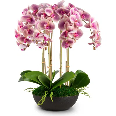 Cocobella Abella Realtouch Orchid Arrangement In Multi