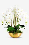 Cocobella Abigail Gold Realtouch Orchid In Gold Tone