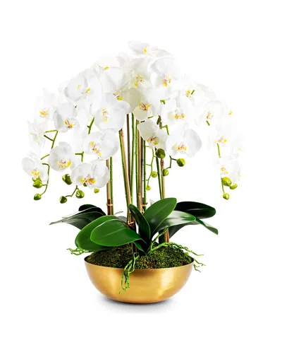 Cocobella Abigail Gold Realtouch Orchid In White
