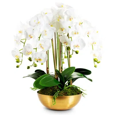 Cocobella Abigail Gold Realtouch Orchid In White