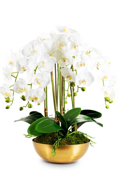 Cocobella Abigail Realtouch White Orchid In Multi