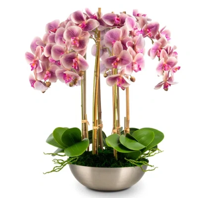 Cocobella Abrienne Realtouch Orchid Arrangement In Multi