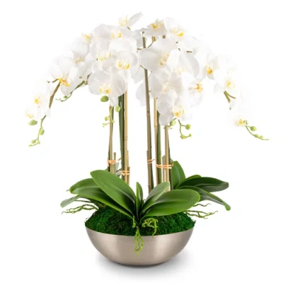 Cocobella Abrienne Realtouch Orchid Arrangement In Multi