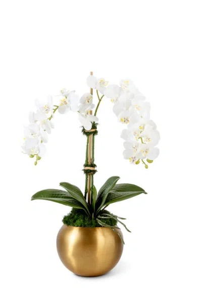 Cocobella Adeline Gold Realtouch Orchid In Snow