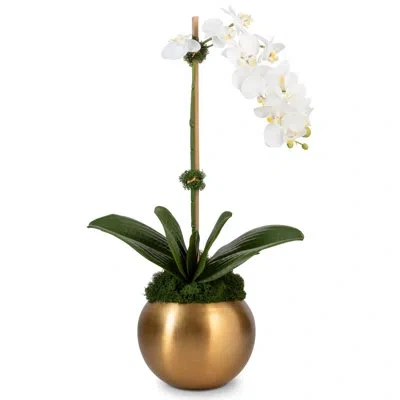 Cocobella Adeline Gold Realtouch Orchid In White,yellow,green